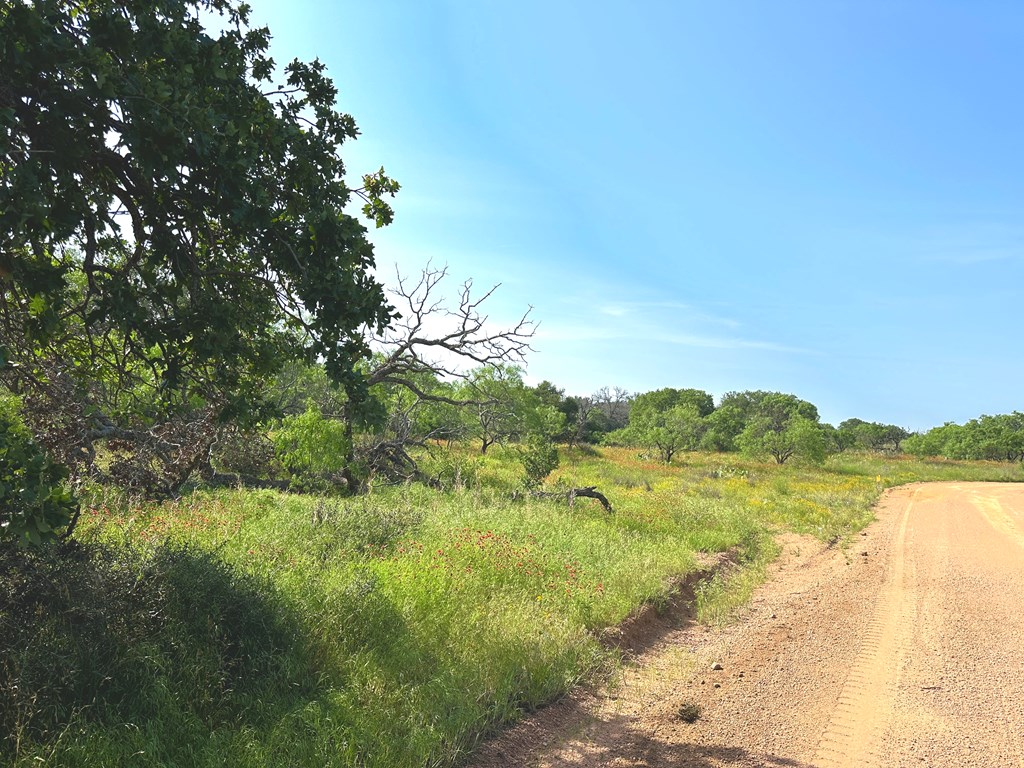 1 North Art Road Mason, TX 76856 - Photo 7 of 13 Gallery Image 7