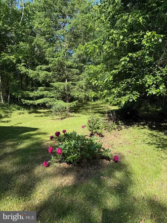 $250,000 | 5994 Mount Freedom Drive, Circleville, WV 26804