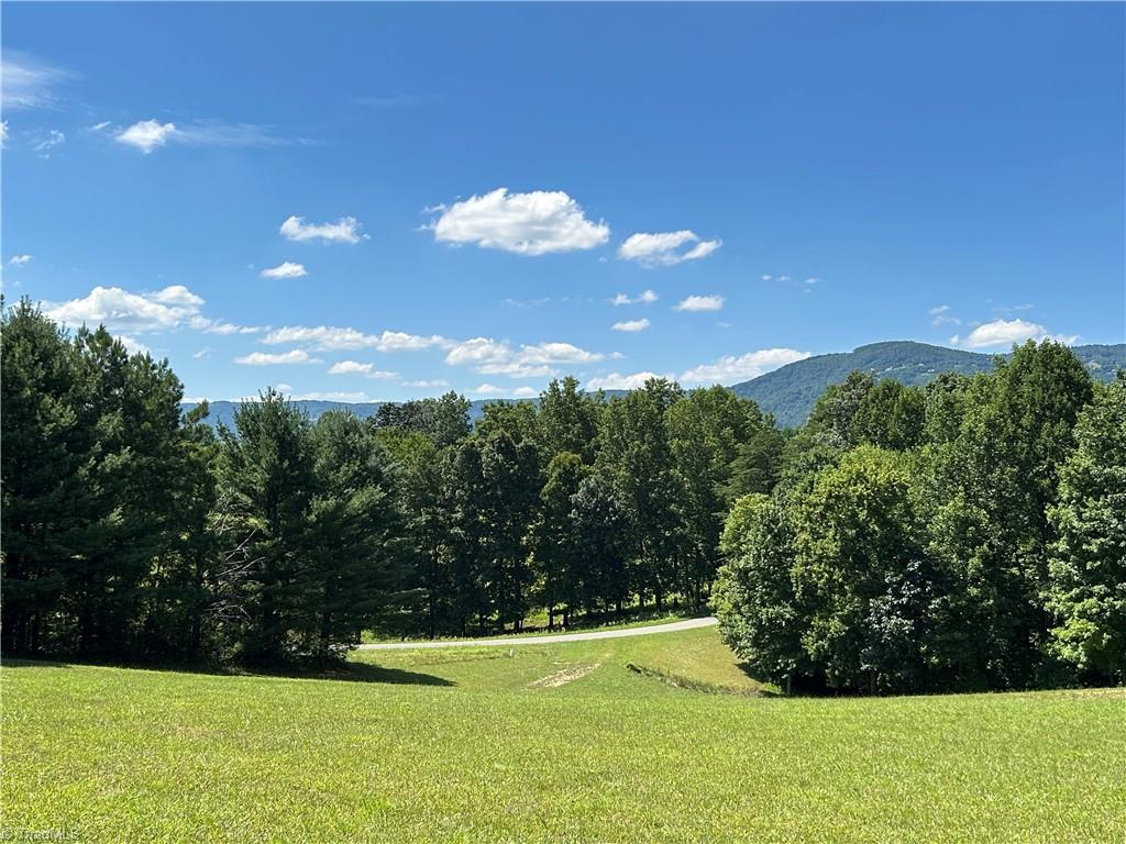 2076 Meadowbrook Road Cana, VA 24317 - Photo 8 of 40 Gallery Image 8