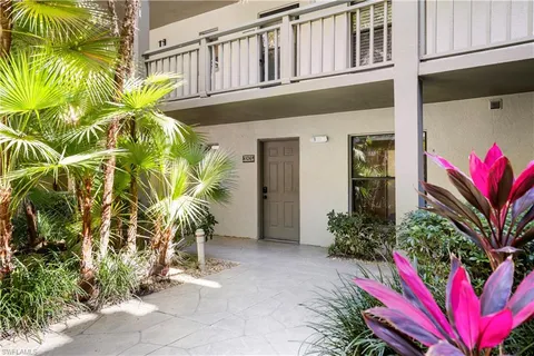 a potted plant in front of a building
