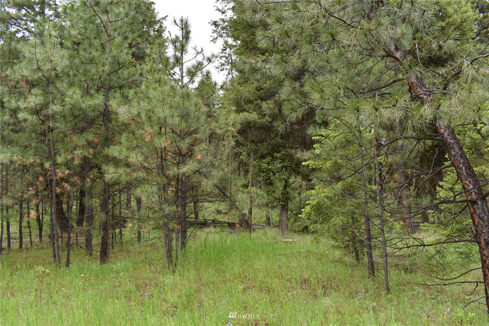 9-lot Turtle Run Road Tonasket, WA 98855 - Photo 15 of 40 a view of lake with green space