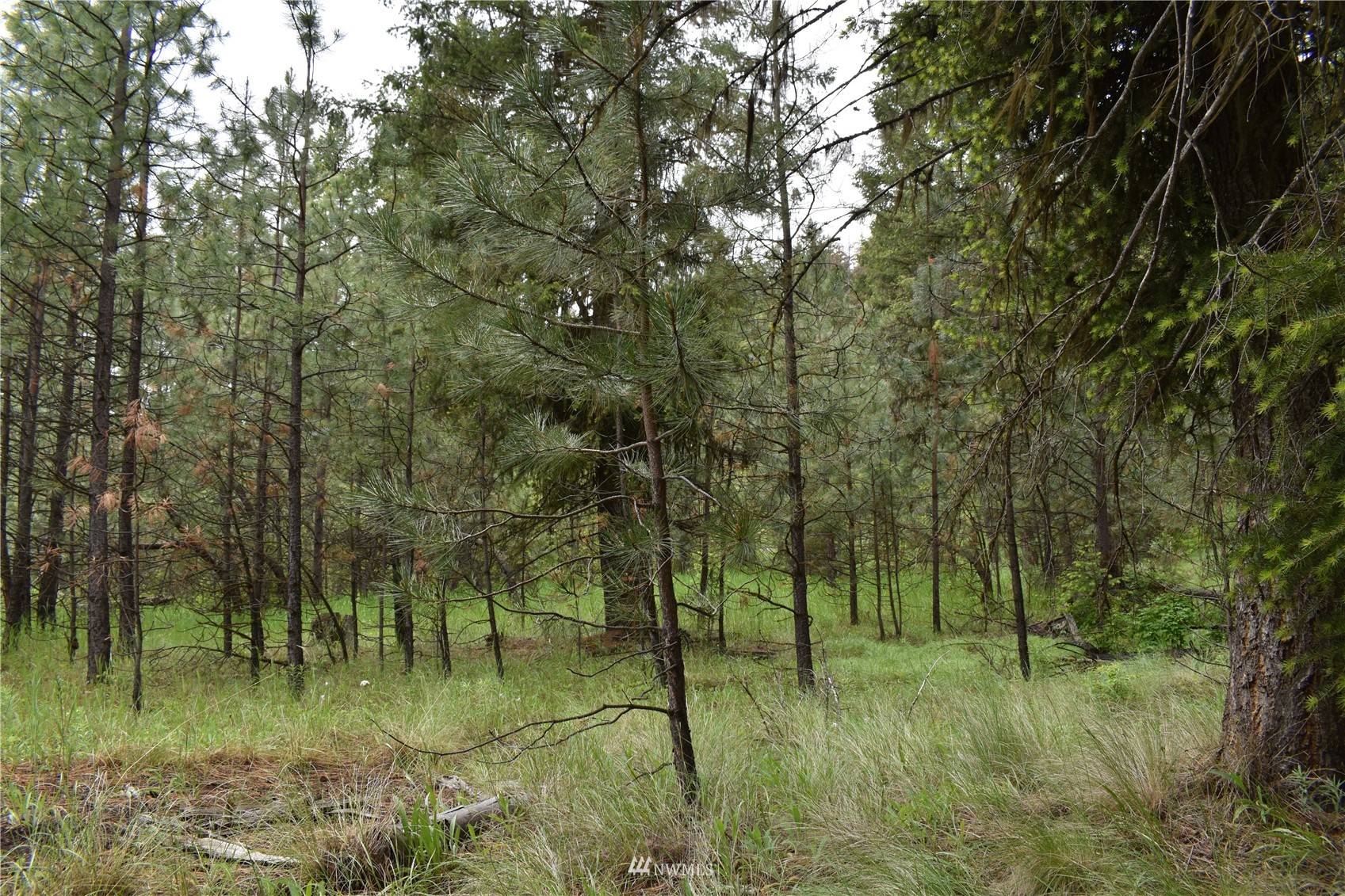 9-lot Turtle Run Road Tonasket, WA 98855 - Photo 18 of 40 a view of lake with green space