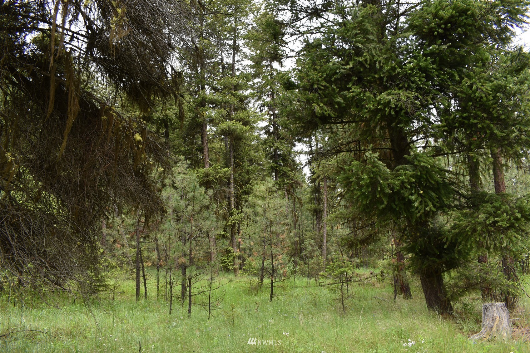9-lot Turtle Run Road Tonasket, WA 98855 - Photo 21 of 40 a view of lake with green space