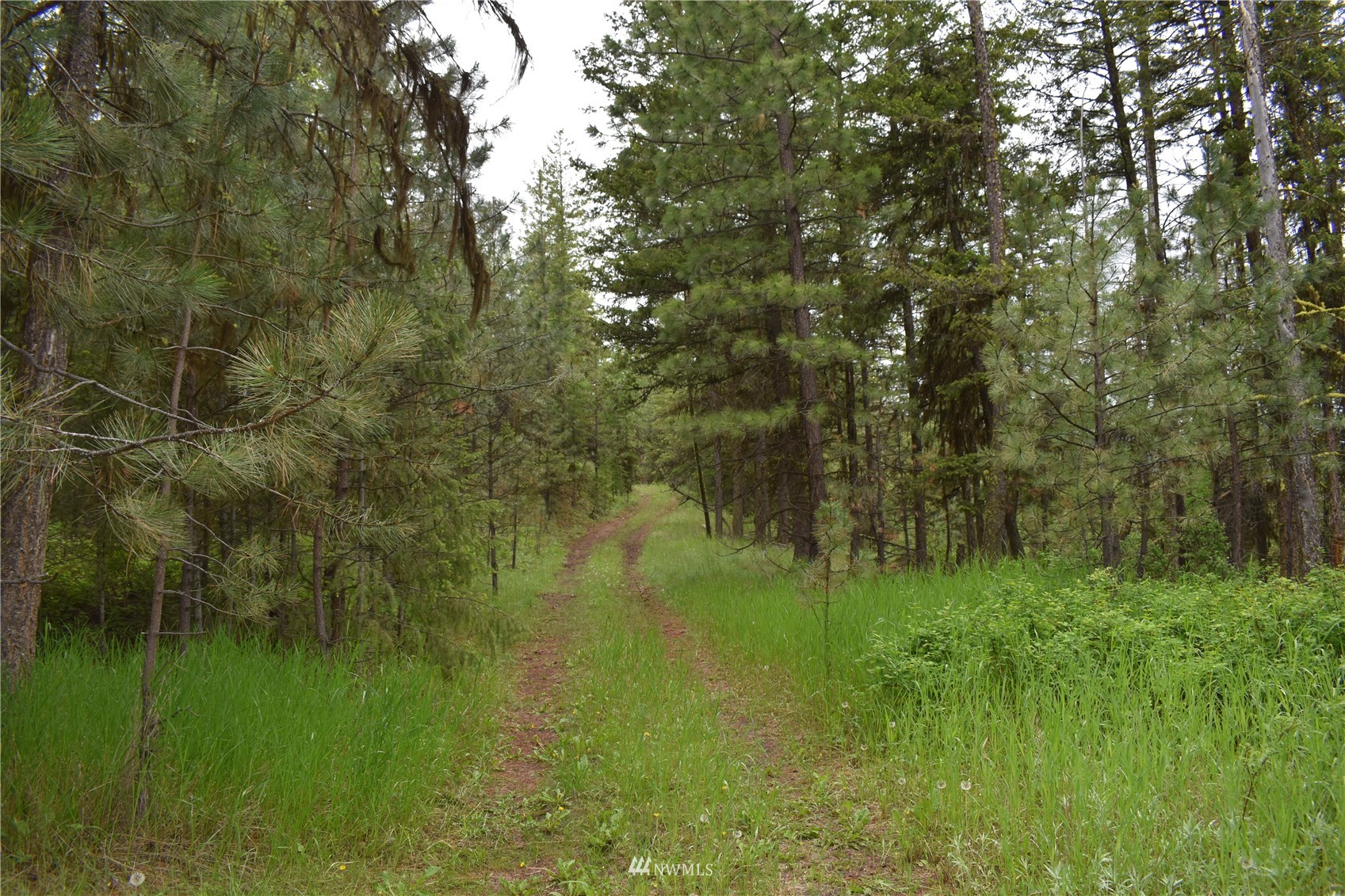 9-lot Turtle Run Road Tonasket, WA 98855 - Photo 38 of 40 a view of a lush green space