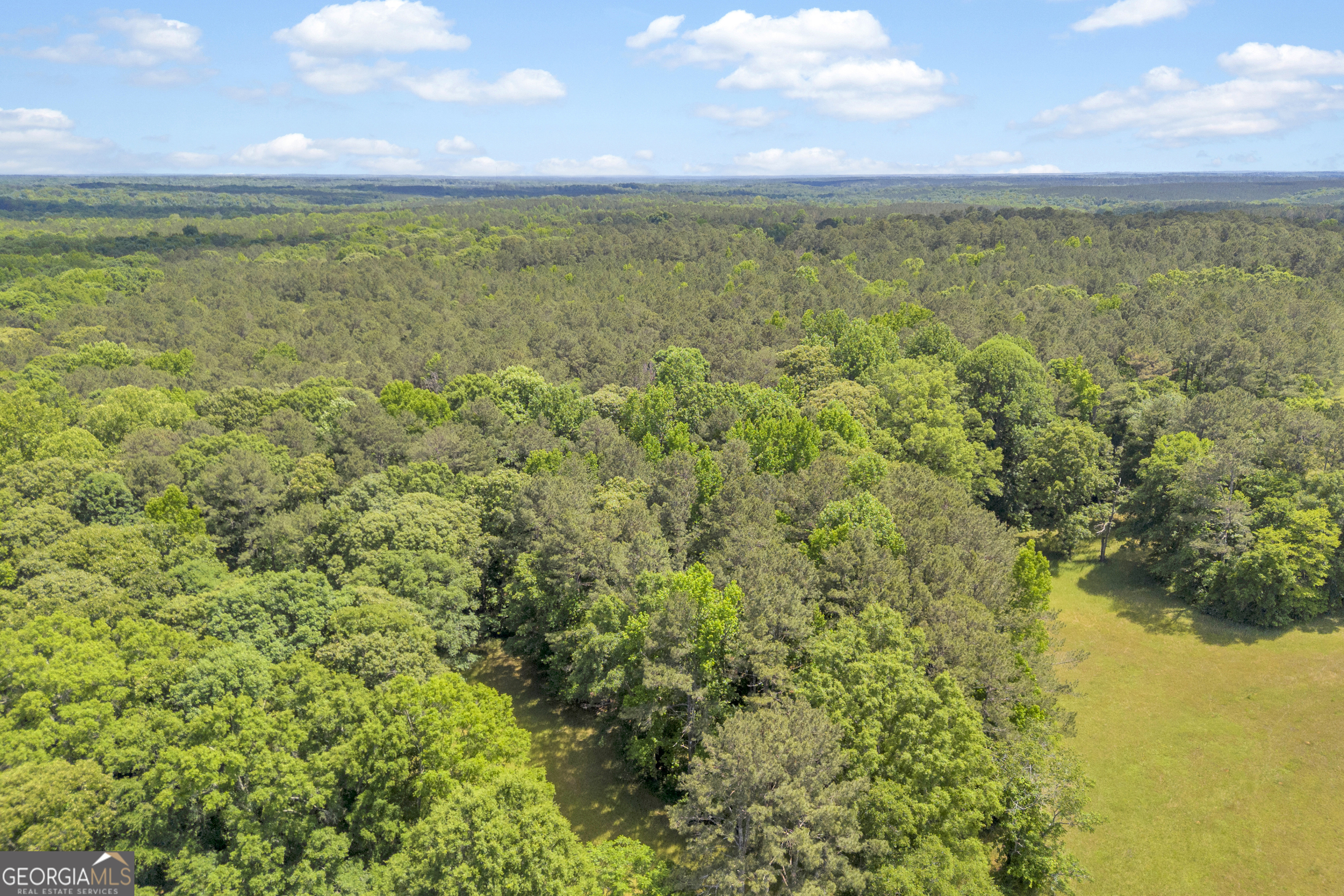 0 Pitts Chapel Road Monticello, GA 31064 - Photo 20 of 22