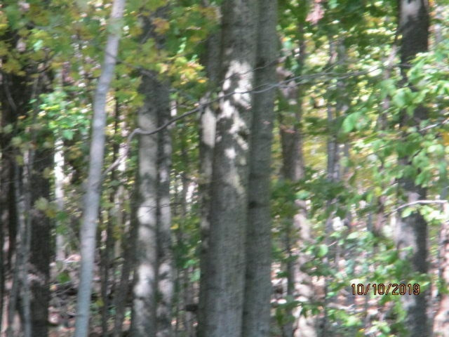 0 West 5 Point Highway Charlotte, MI 48813 - Photo 3 of 7