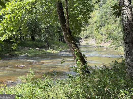 331 Rushing River Road Talking Rock, GA 30175 - Photo 4 of 14 Gallery Image 4