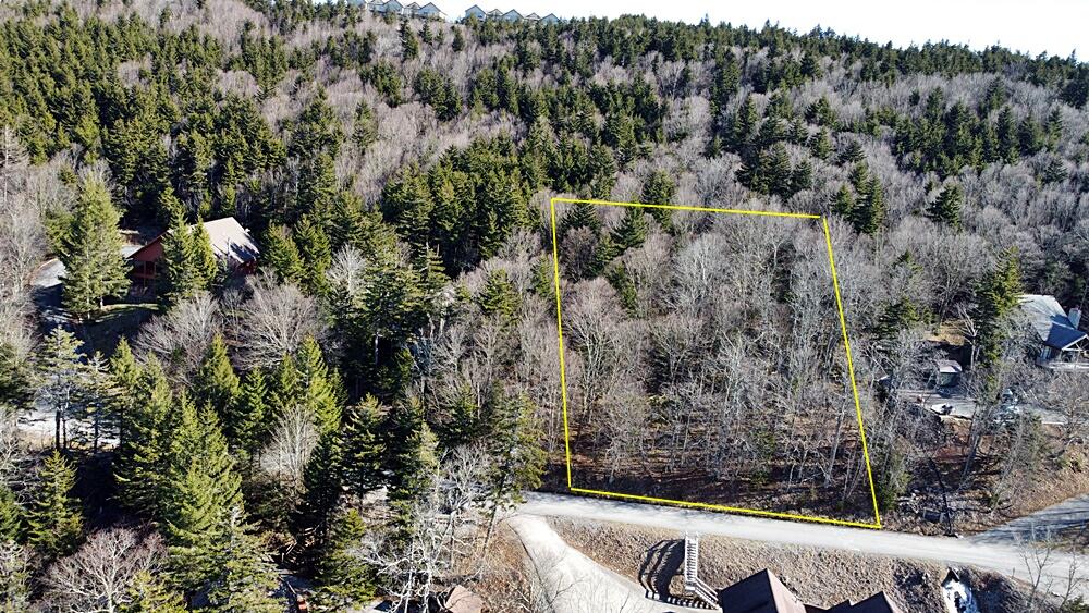 1145 North Westridge Road Slatyfork, WV 26291 - Photo 3 of 7 Gallery Image 3