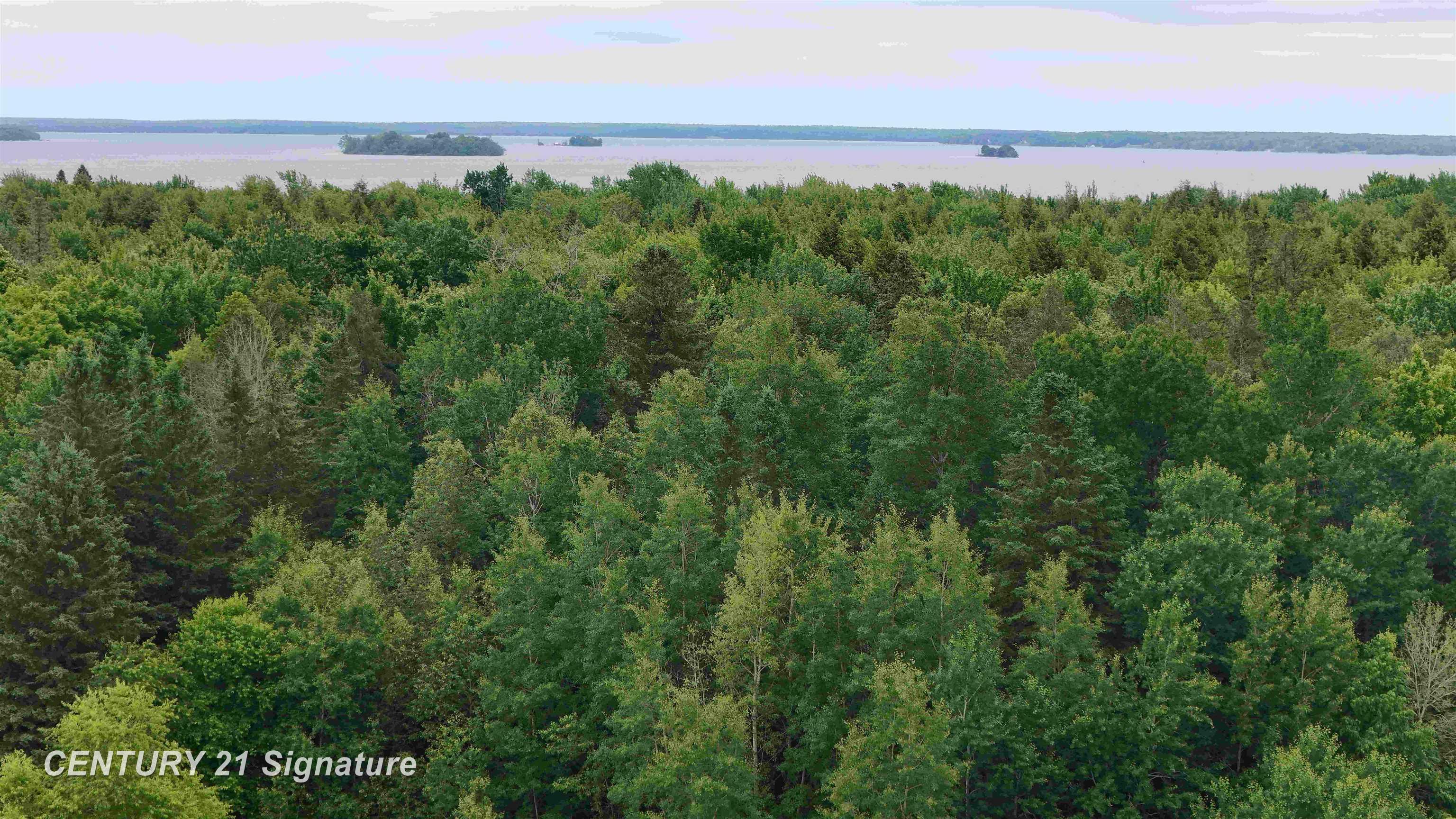 477 County Road 477 Road McMillan, MI 49853 - Photo 13 of 23