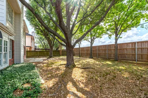 a view of a yard with wooden fence and a large tree