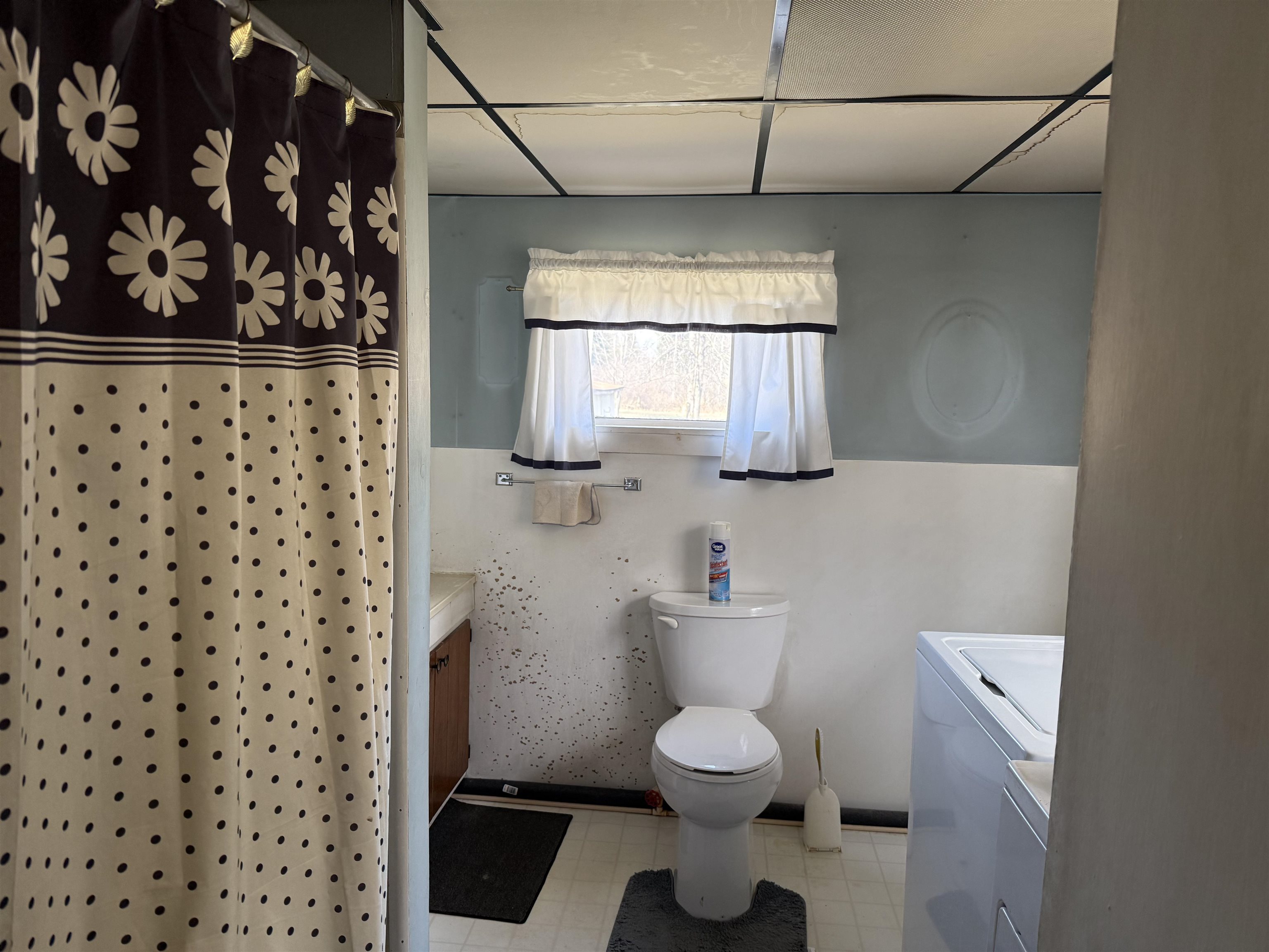 3991 Dundas Road Beaverton, MI 48612 - Photo 10 of 17