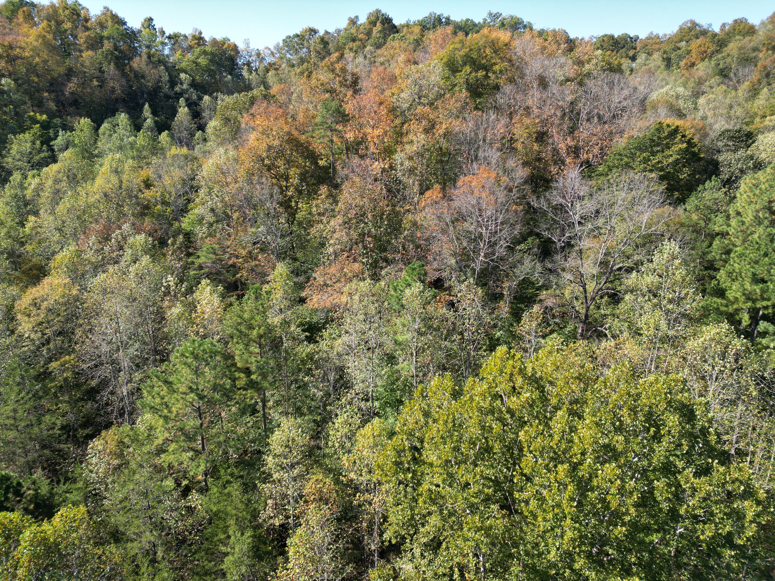 9999 Reed Branch Road Manchester, KY 40962 - Photo 26 of 48 DJI_0796