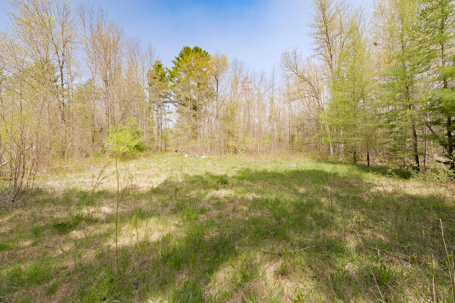 Lot 46-46a Bangor Road Clinton, ME 04927 - Photo 5 of 12 Land