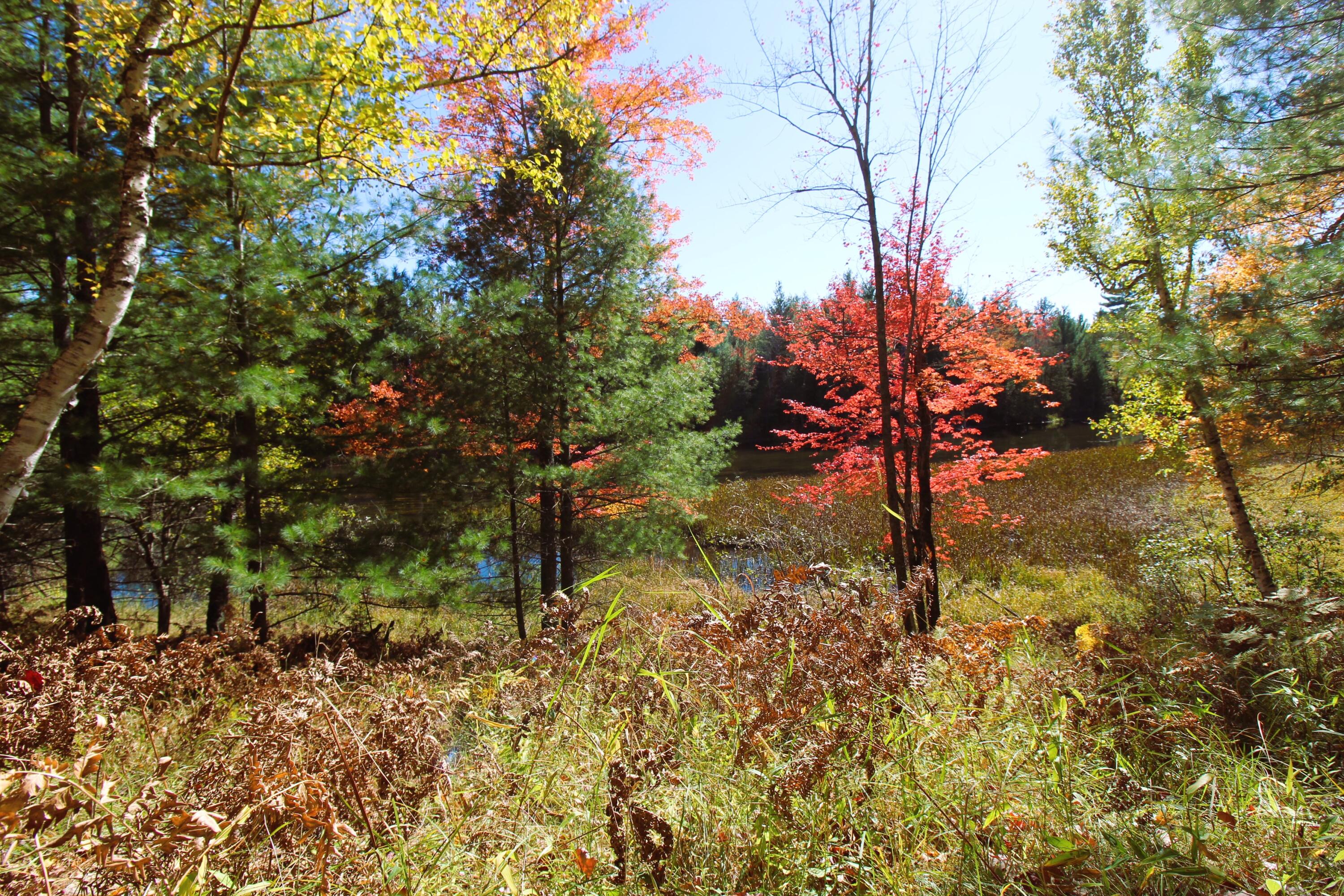 8172 Conners Flat Road Grayling, MI 49738 - Photo 32 of 46 Gallery Image 32