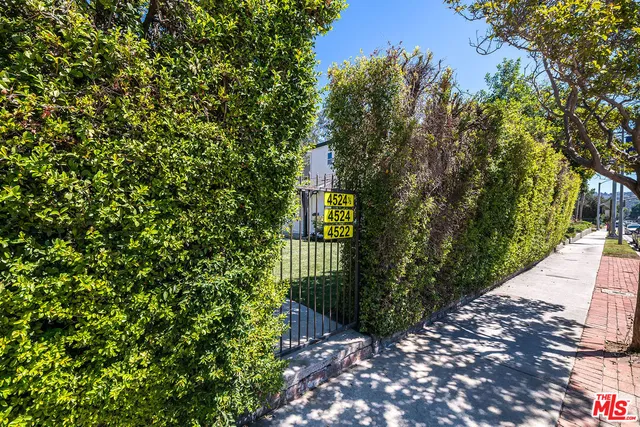 a view of a pathway of a yard