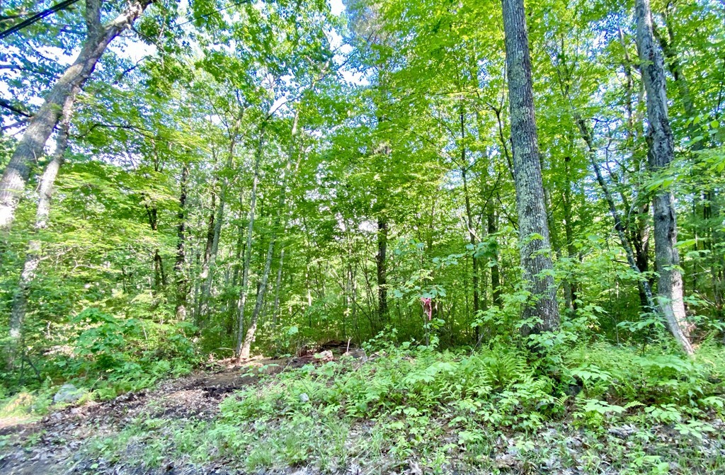 Lot 3 Emerald Road Rutland, MA 01543 - Photo 6 of 8 Gallery Image 6