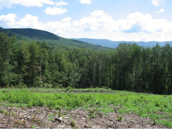 Lot 2 Sugarbush Woods Road Warren, VT 05674 - Photo 1 of 1 Gallery Image 1