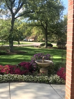 91 Roberts Road Inverness, IL 60067 - Photo 36 of 36 a view of a garden with a large trees