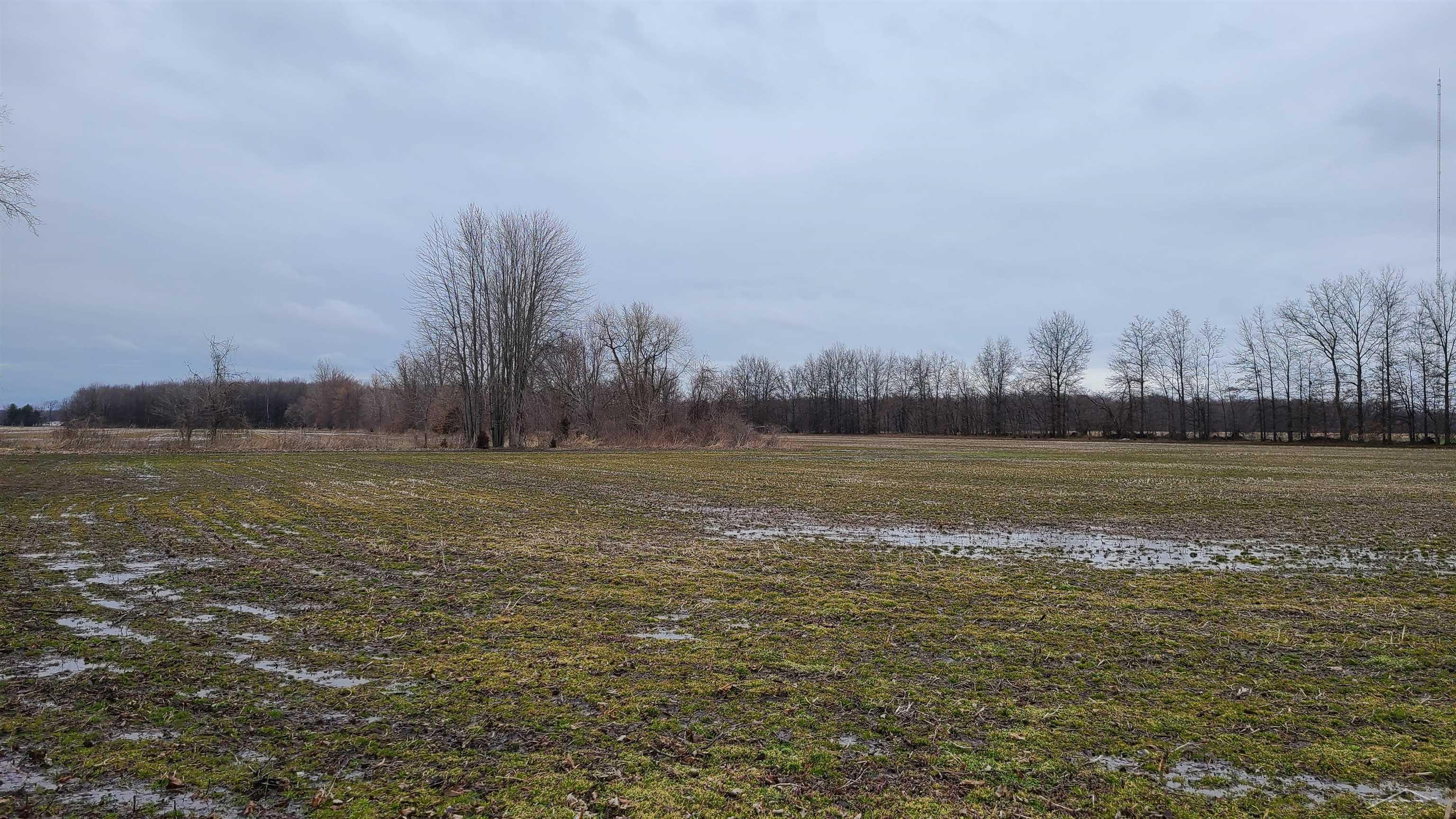 8984 West Gary Road Chesaning, MI 48616 - Photo 21 of 22 50104983-20.JPG