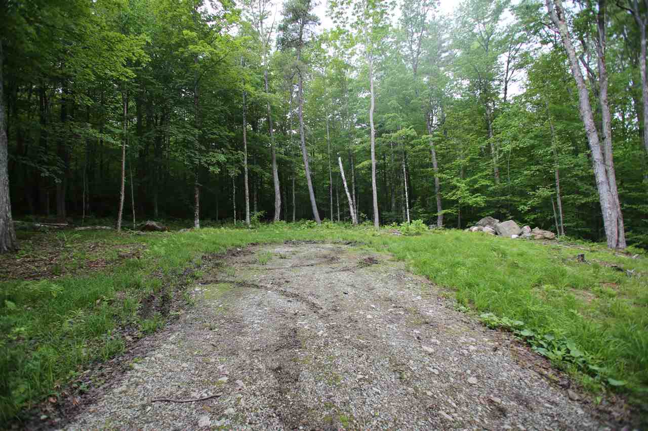 5000 Cold River Road Shrewsbury, VT 05738 - Photo 2 of 24