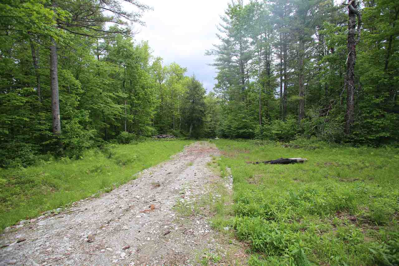 5000 Cold River Road Shrewsbury, VT 05738 - Photo 12 of 24