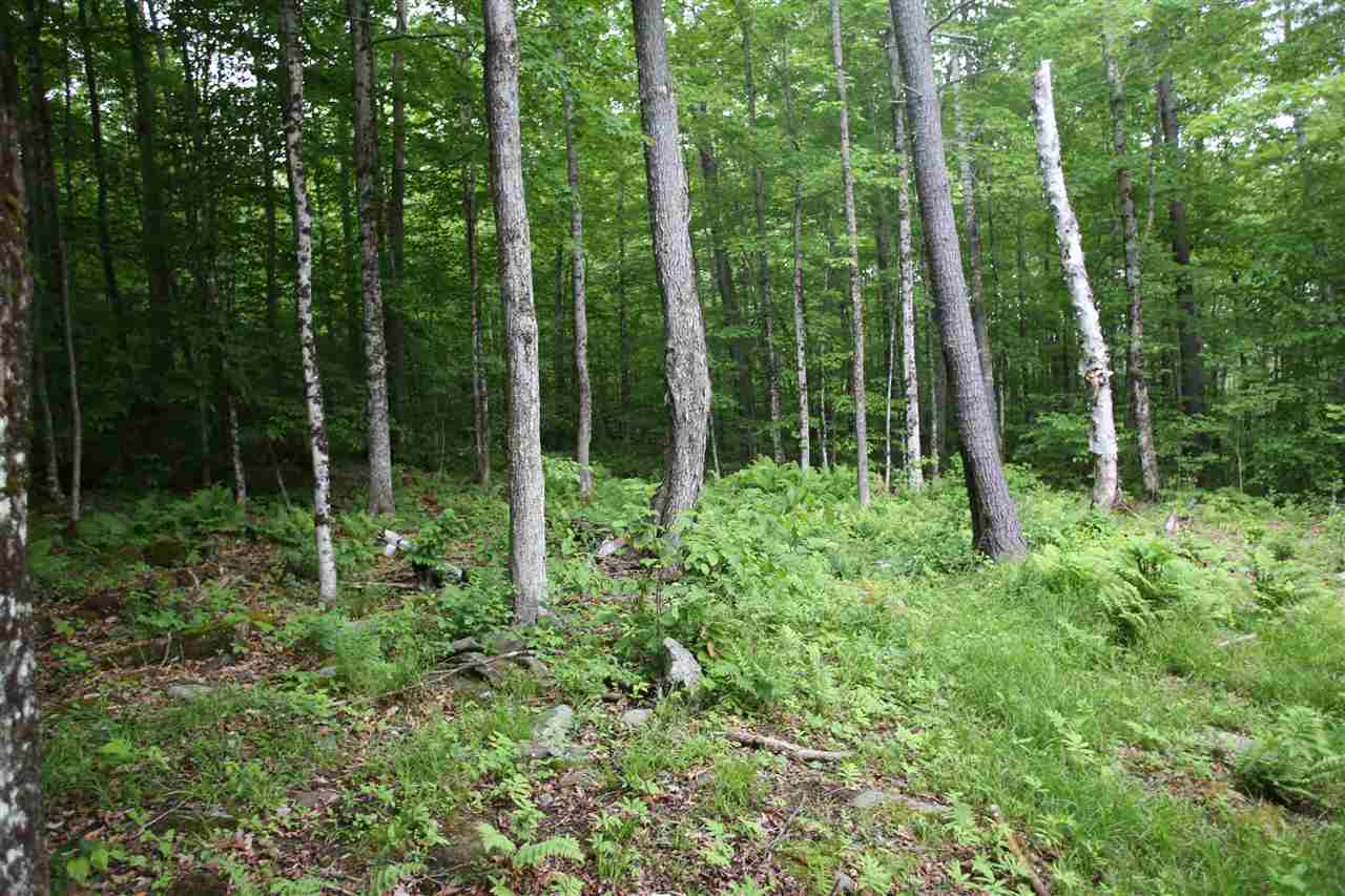 5000 Cold River Road Shrewsbury, VT 05738 - Photo 16 of 24