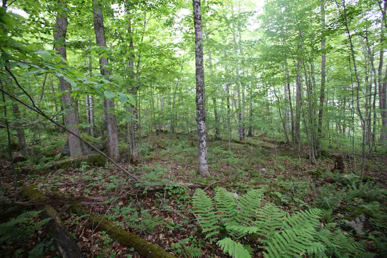 5000 Cold River Road Shrewsbury, VT 05738 - Photo 17 of 24