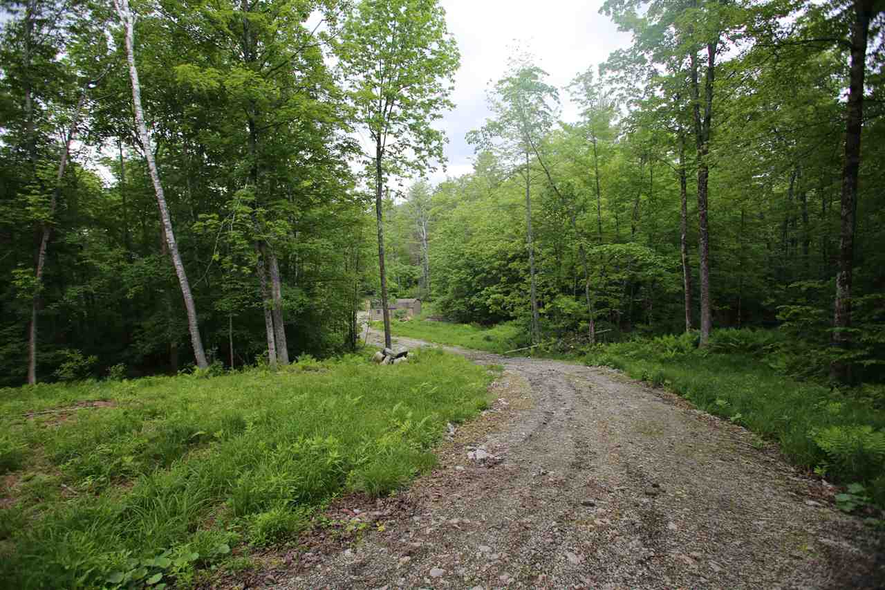 5000 Cold River Road Shrewsbury, VT 05738 - Photo 18 of 24