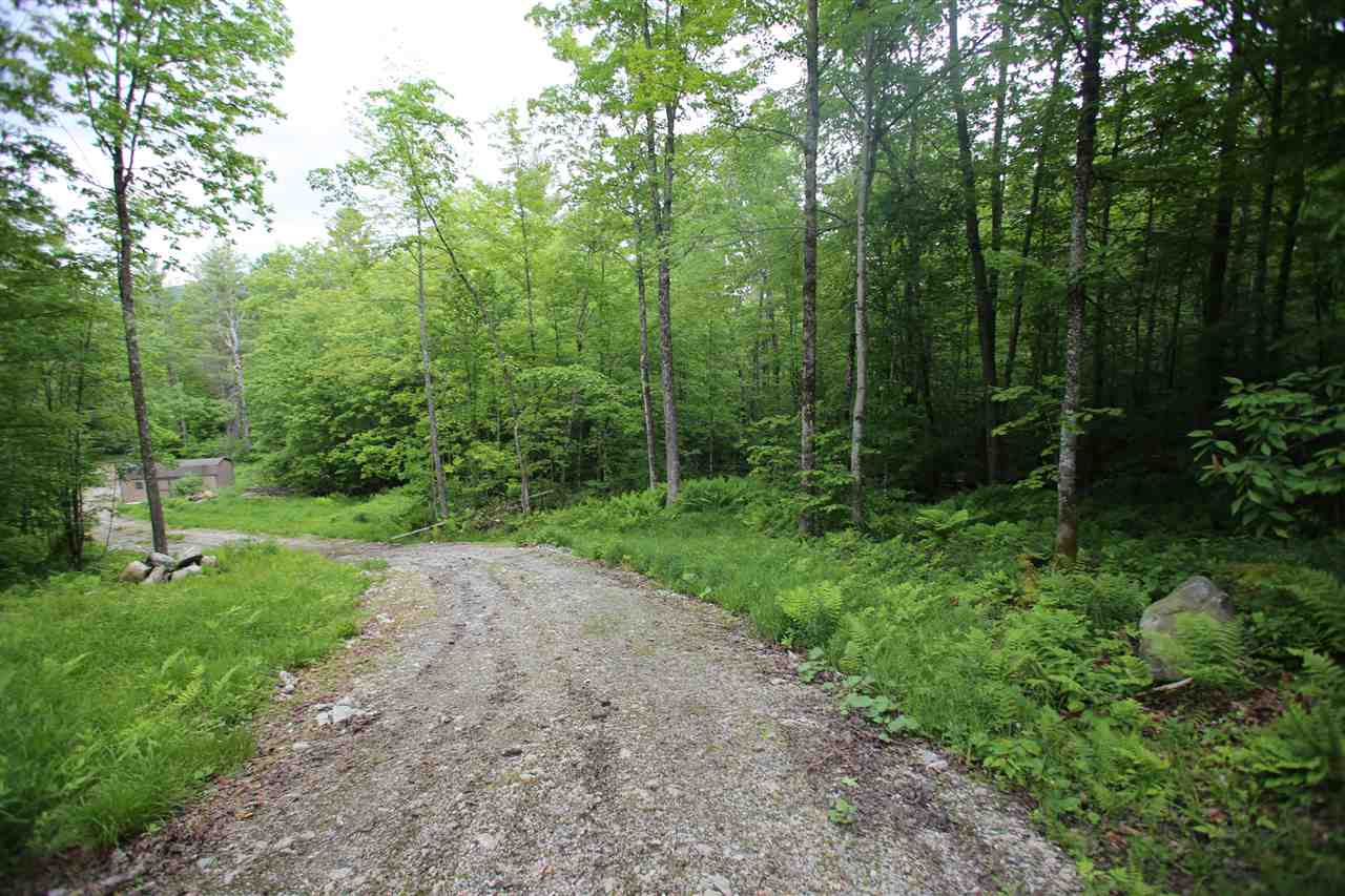 5000 Cold River Road Shrewsbury, VT 05738 - Photo 19 of 24
