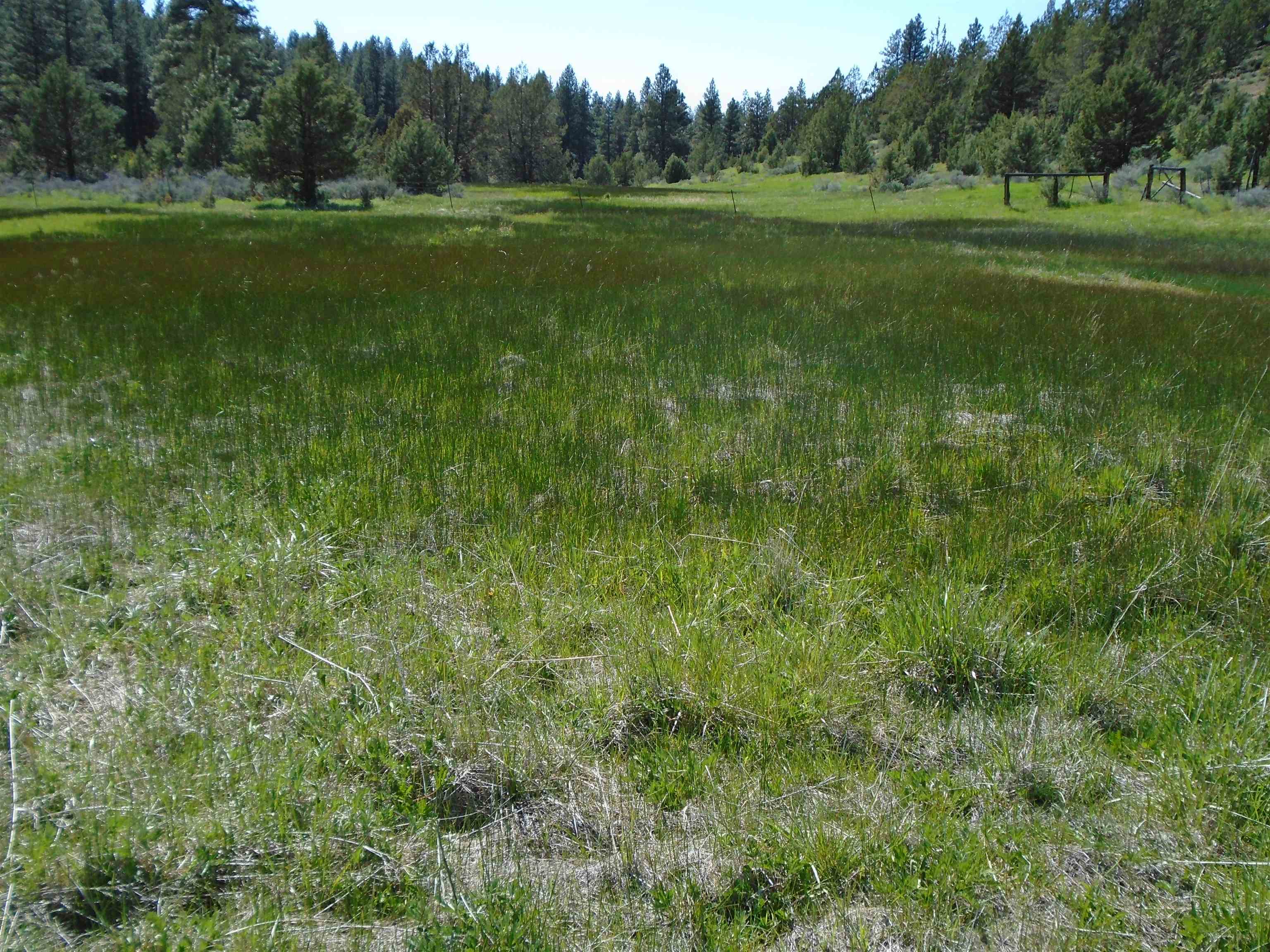 0 Mckenney Road Alturas, CA 96101 - Photo 2 of 8