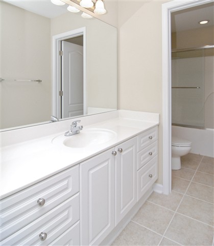 16 Spring Tree Drive Simpsonville, SC 29681 - Photo 20 of 25 Gallery Image 20