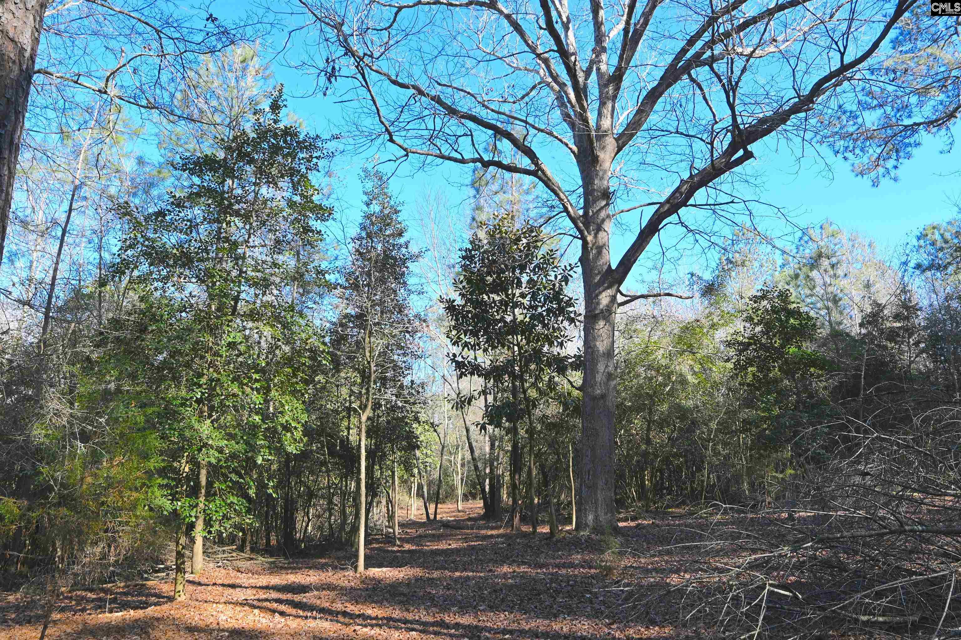 707 Mt Ebal Road Batesburg, SC 29006 - Photo 7 of 48