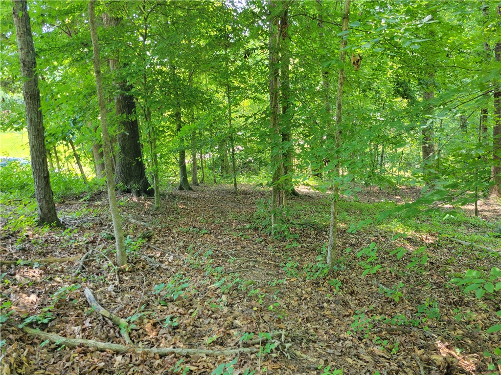 0 Fox Fire Road Central, SC 29630 - Photo 8 of 10