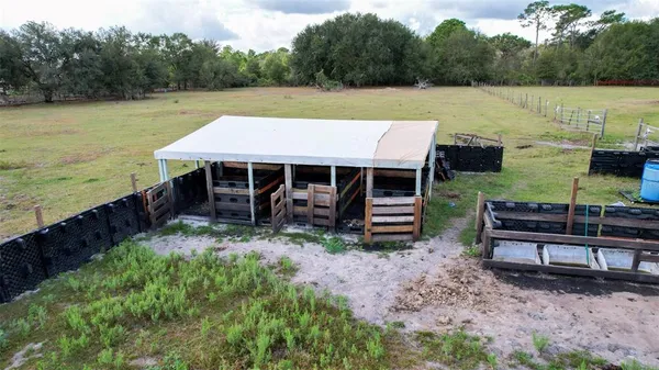 a close up of a plant in a garden