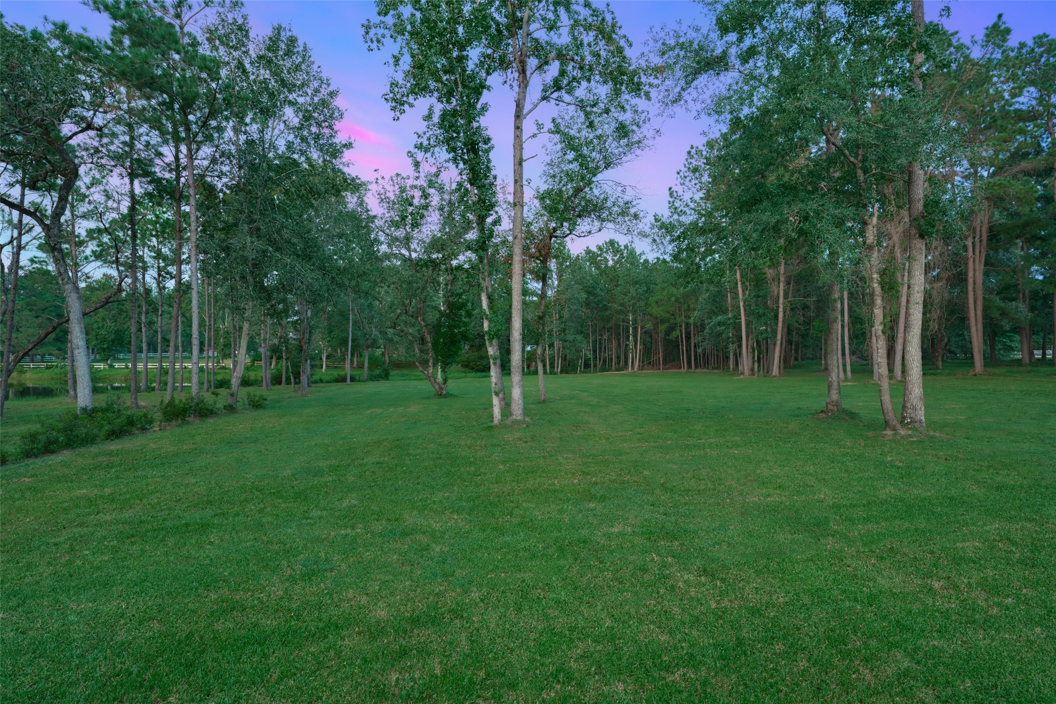 2218 Honea Egypt Road Magnolia, TX 77354 - Photo 23 of 50 Expansive space available for future development.
