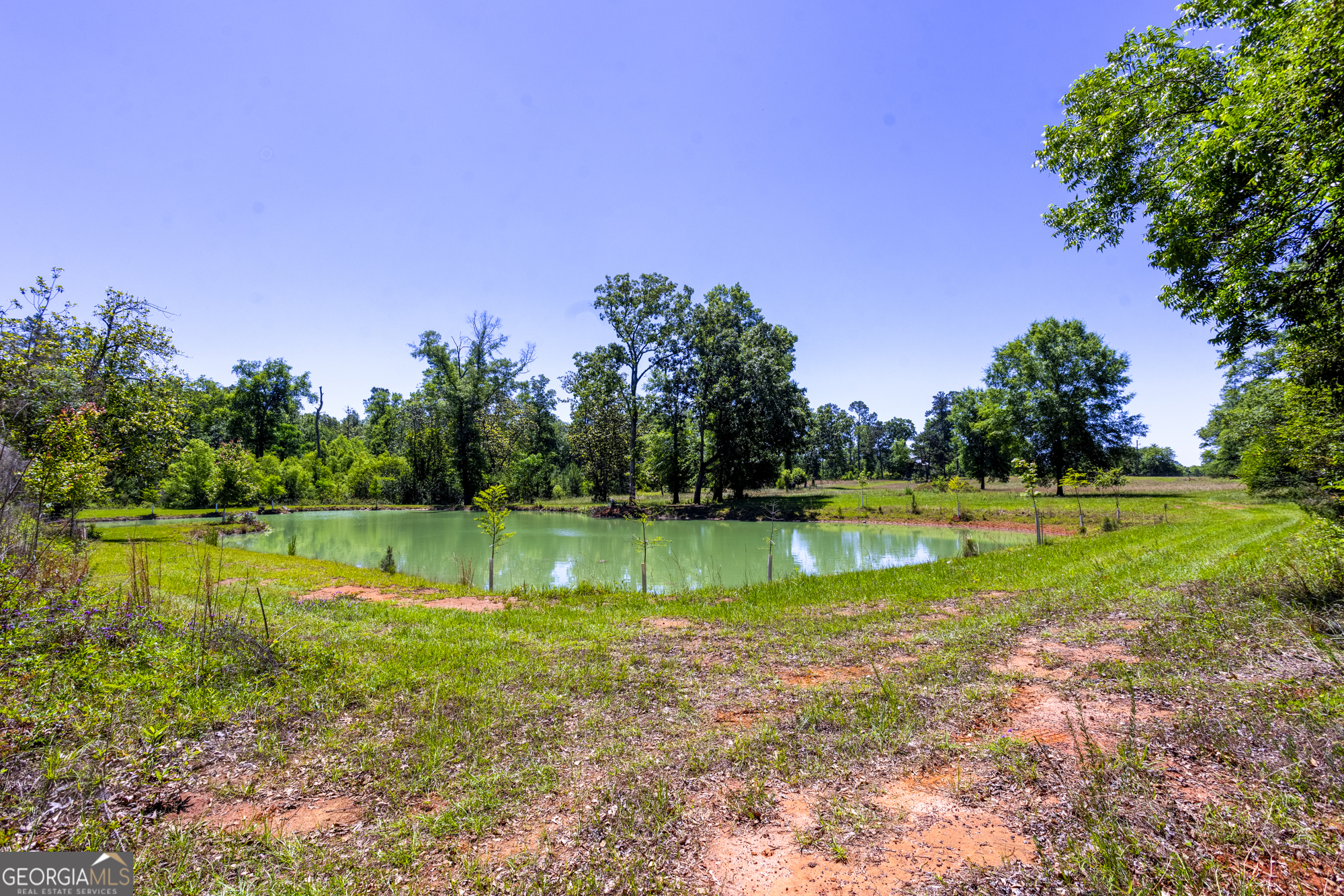 246 Melton Mill Road Dawson, GA 39842 - Photo 45 of 78