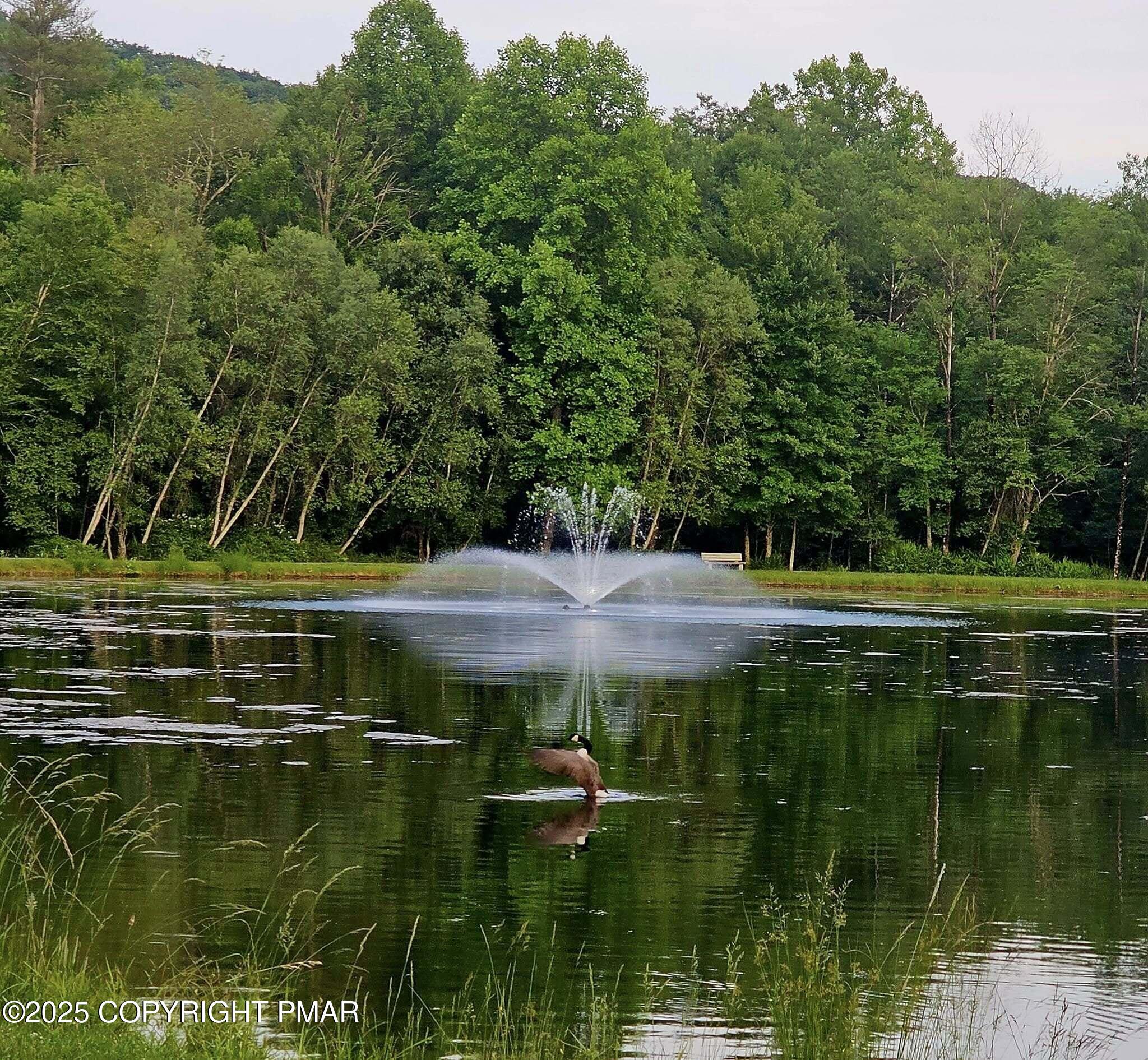 2226 Bedford Court Bushkill, PA 18371 - Photo 67 of 79 a view of lake with green space