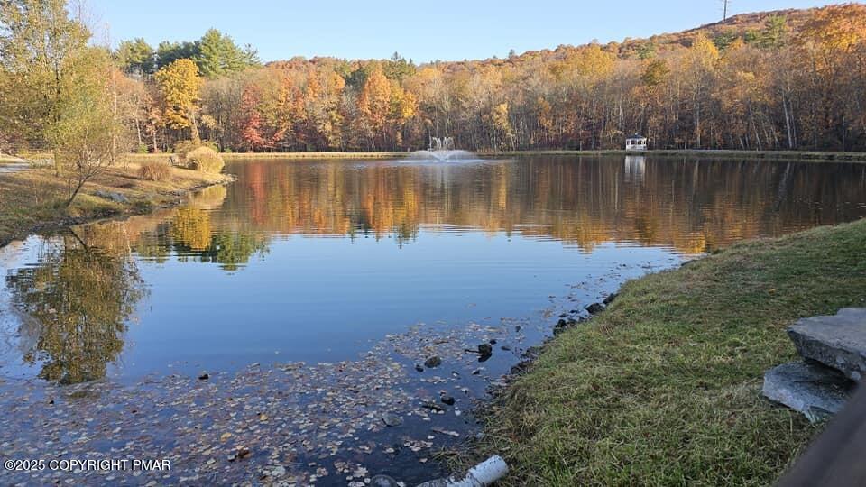 2226 Bedford Court Bushkill, PA 18371 - Photo 68 of 79 a view of a lake in between two large trees