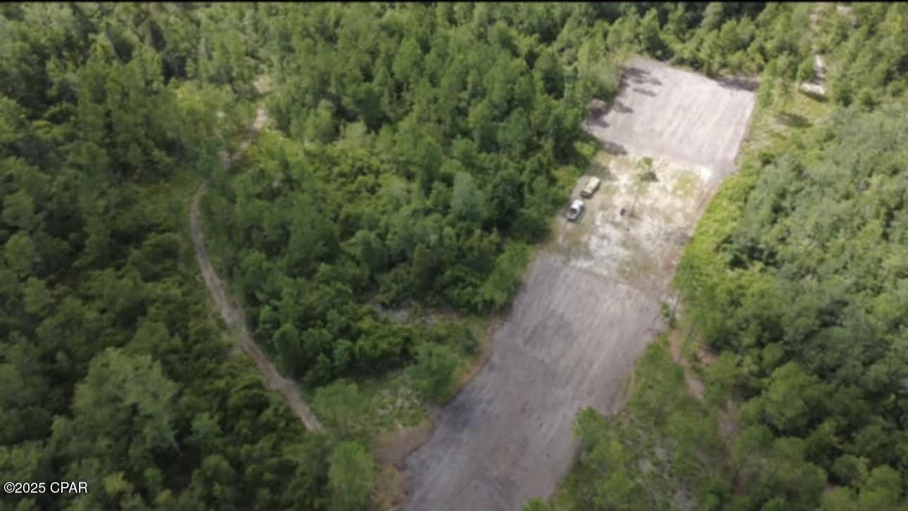 2445 Sandridge Church Road Grand Ridge, FL 32442 - Photo 3 of 6