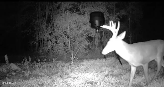 $199,000 | 2445 Sandridge Church Road, Grand Ridge, FL 32442