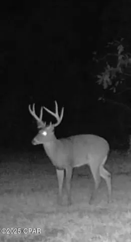 $199,000 | 2445 Sandridge Church Road, Grand Ridge, FL 32442