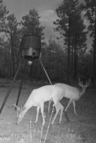 $199,000 | 2445 Sandridge Church Road, Grand Ridge, FL 32442