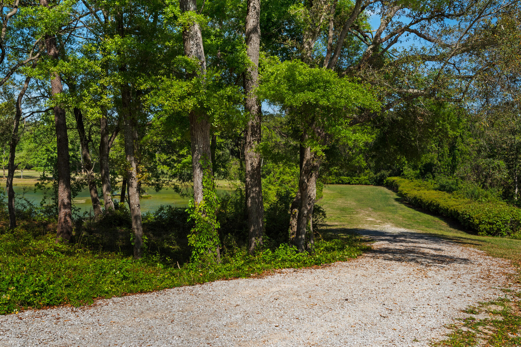 9004 Rushing River Way Niceville, FL 32578 - Photo 53 of 67 Swift Creek_20180411_006