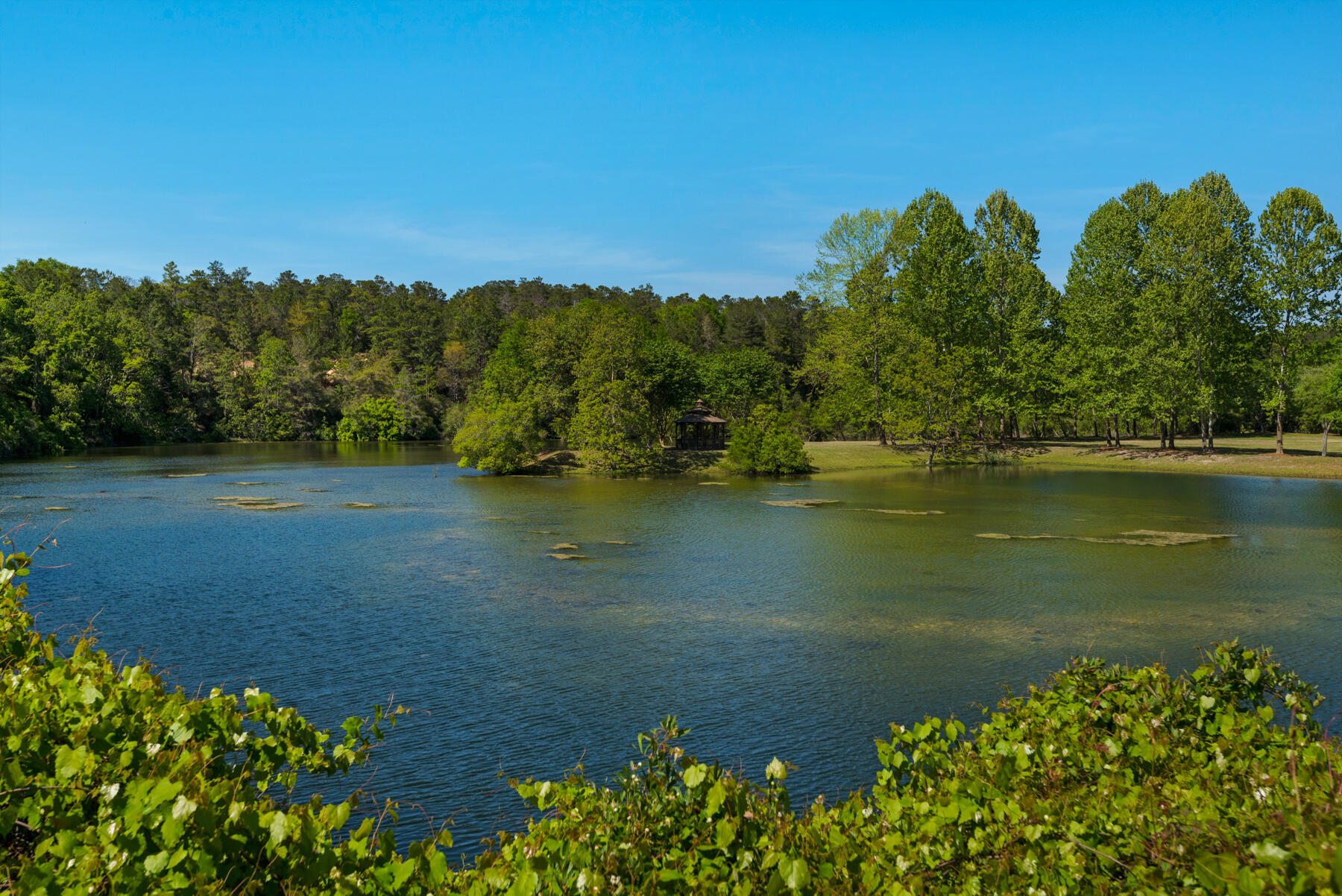9004 Rushing River Way Niceville, FL 32578 - Photo 54 of 67 Swift Creek_20180411_009