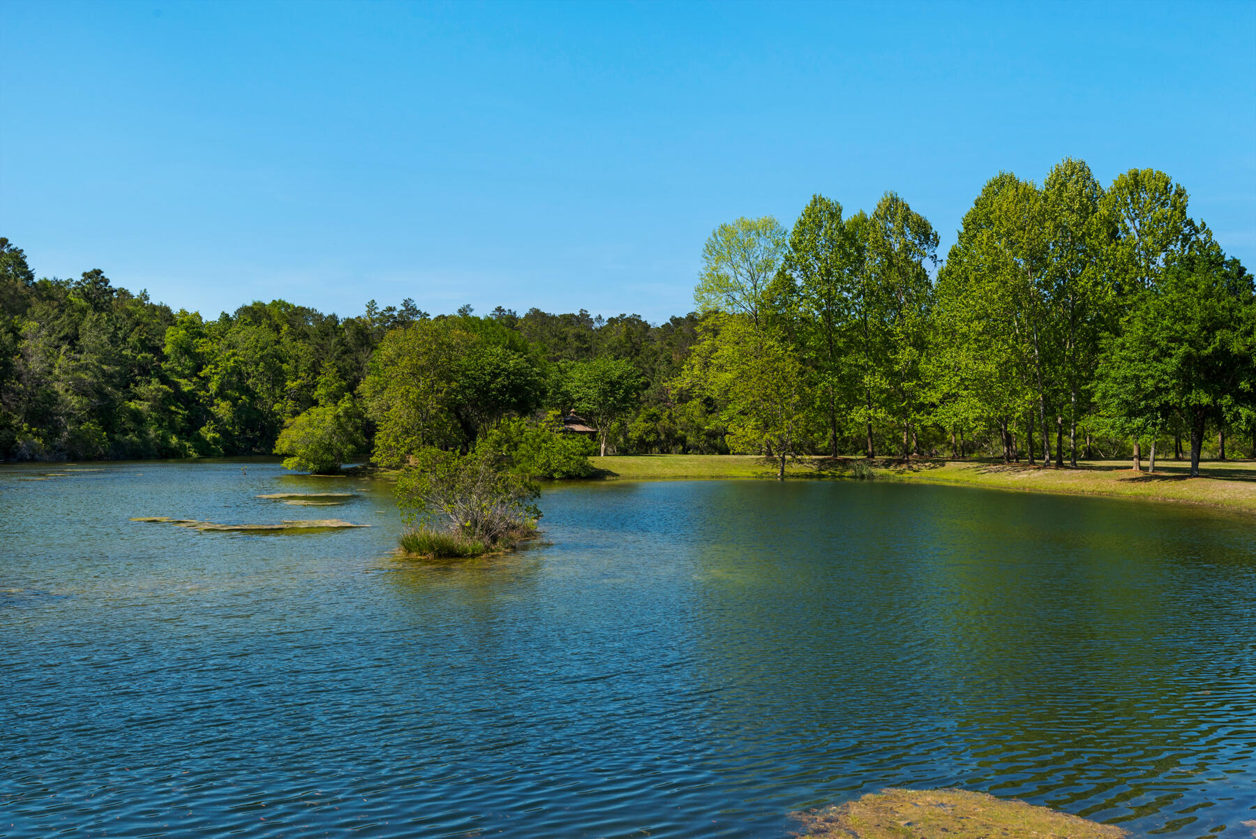 9004 Rushing River Way Niceville, FL 32578 - Photo 55 of 67 Swift Creek_20180411_011