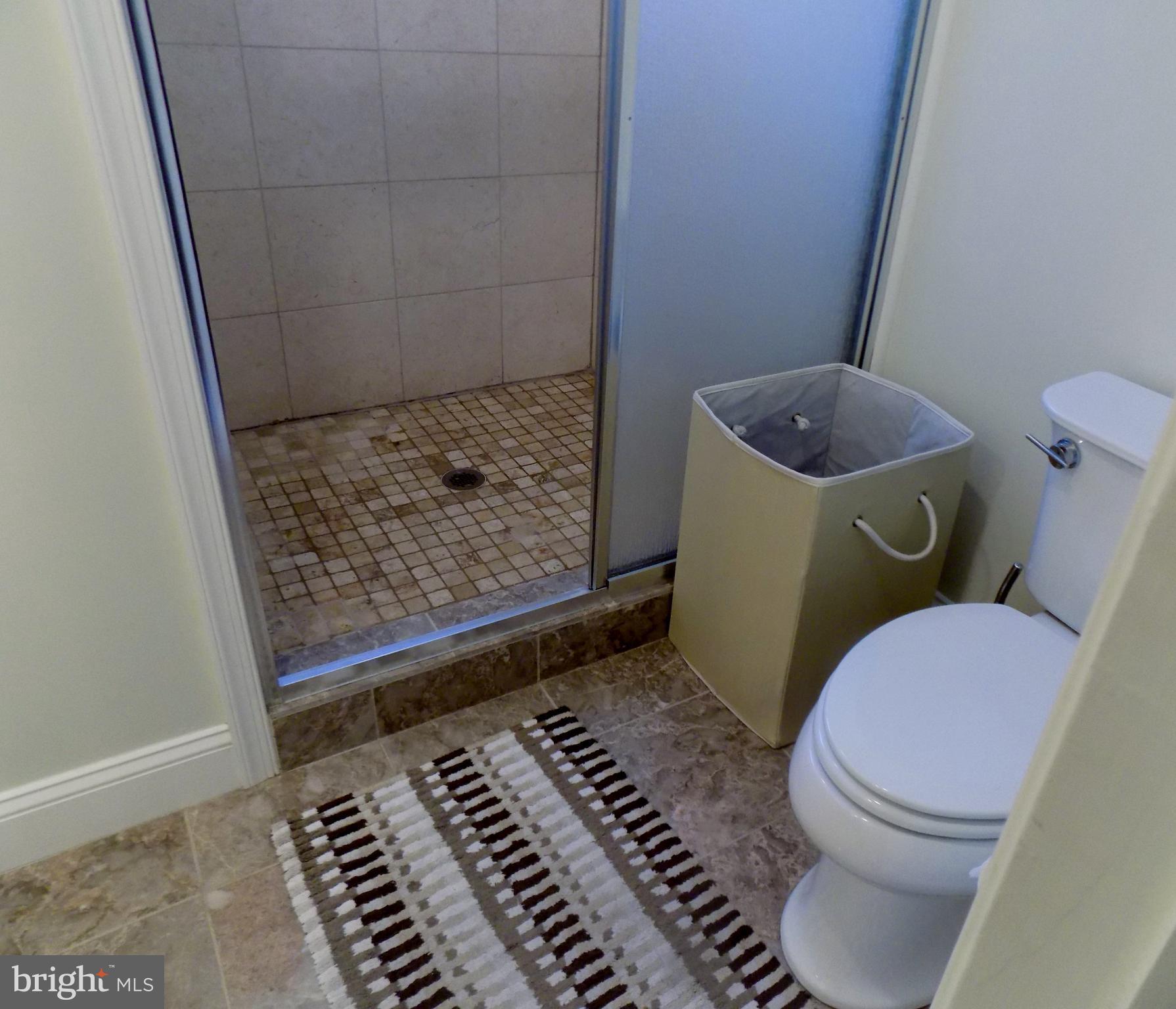 4346 Ebenezer Road Bluemont, VA 20135 - Photo 17 of 30 Bath (Master)