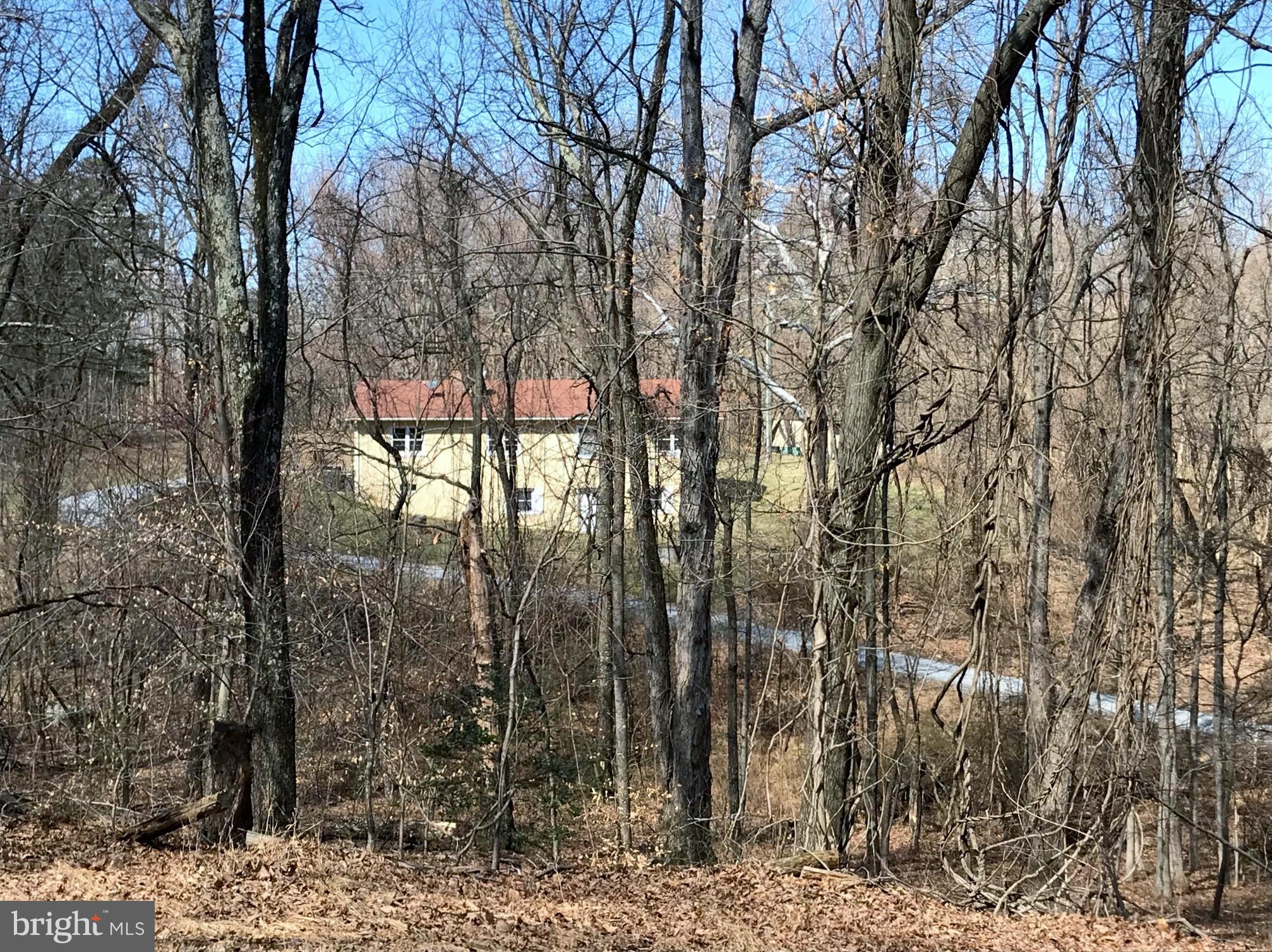 4346 Ebenezer Road Bluemont, VA 20135 - Photo 3 of 30 Exterior (Rear)
