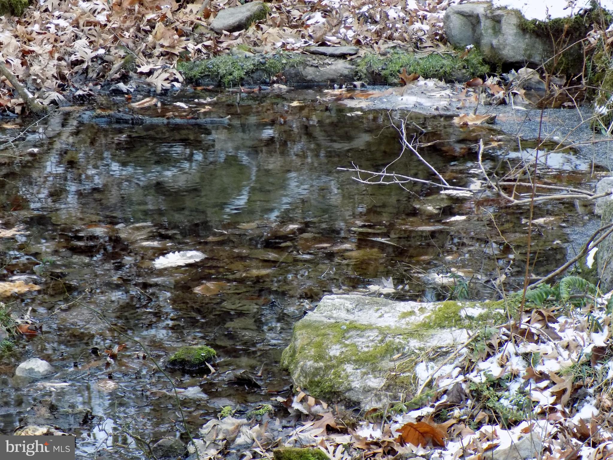 4346 Ebenezer Road Bluemont, VA 20135 - Photo 5 of 30 Spring On Property