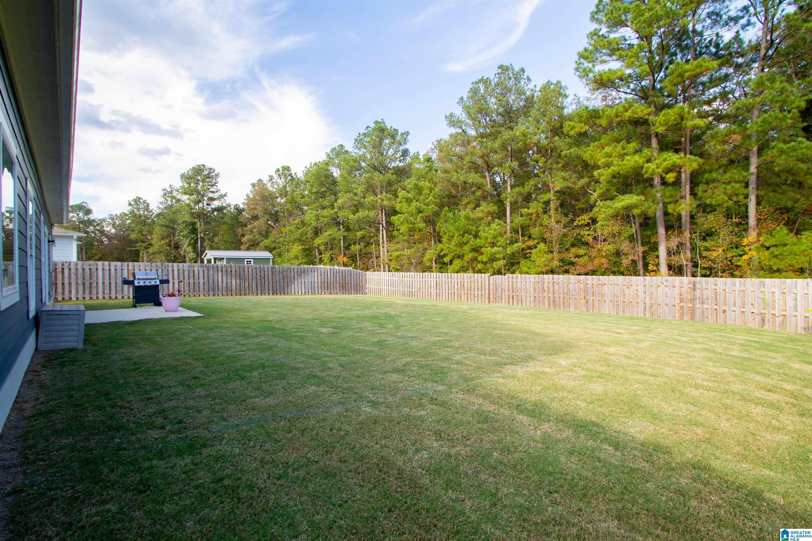 1875 Baxter Avenue Springville, AL 35146 - Photo 39 of 41