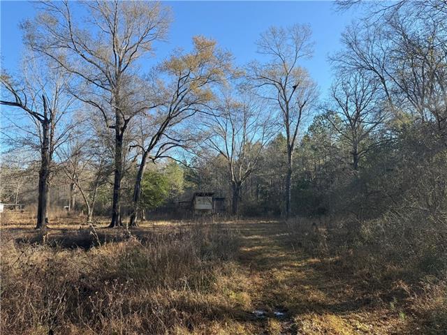 25230 Firetower Road Holden, LA 70744 - Photo 5 of 6